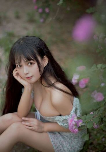 鸡龙仙女传 电视剧_1080免费在线观看
