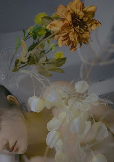 妈妈的朋友7在线观看_BT种子搜索